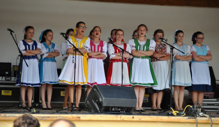 14. fotografia fotogalérie 4. šarišskodravecké kultúrne slávnosti