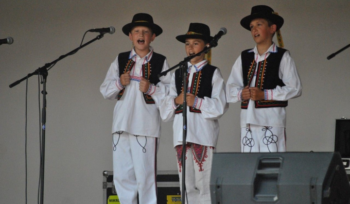 20. fotografia fotogalérie 4. šarišskodravecké kultúrne slávnosti