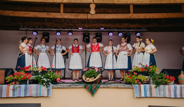 14. fotografia fotogalérie Dravce Paráda