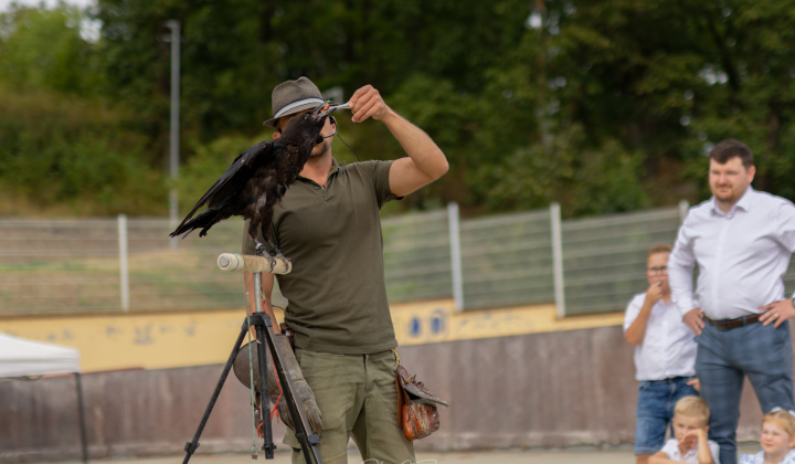 4. fotografia fotogalérie Dravce Paráda 2026