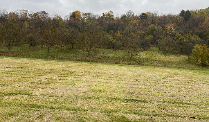 13. fotografia fotogalérie Školské ihrisko 2025